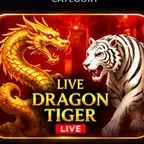 Live Dragon Tiger icon
